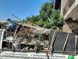 Best Hoarding Cleanup  in Sunflower, MS